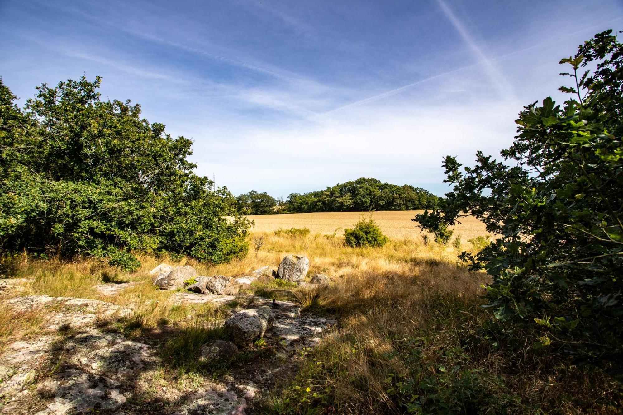 Sjaelegard Countryside Lodge Аллинге Экстерьер фото