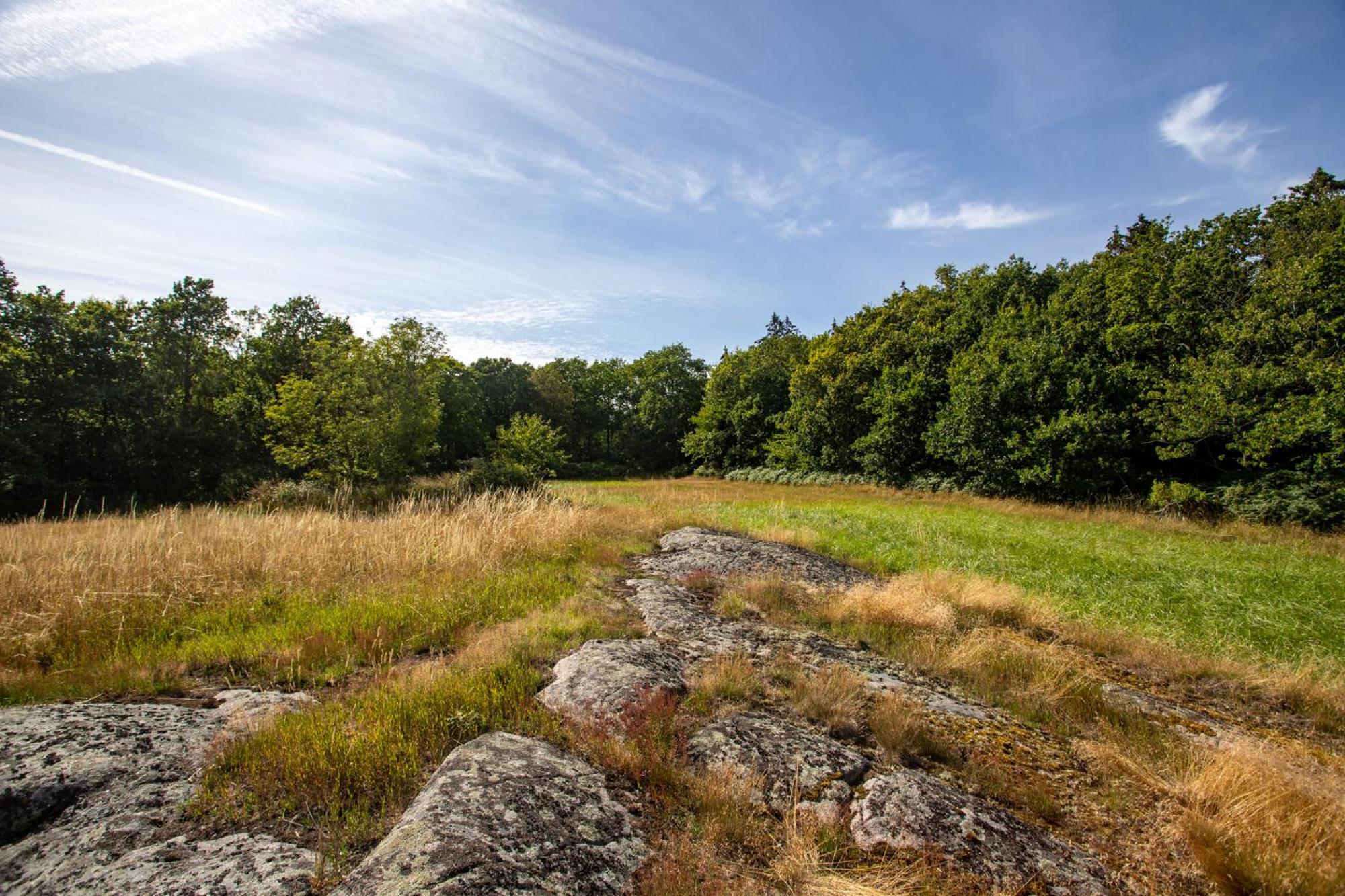 Sjaelegard Countryside Lodge Аллинге Экстерьер фото