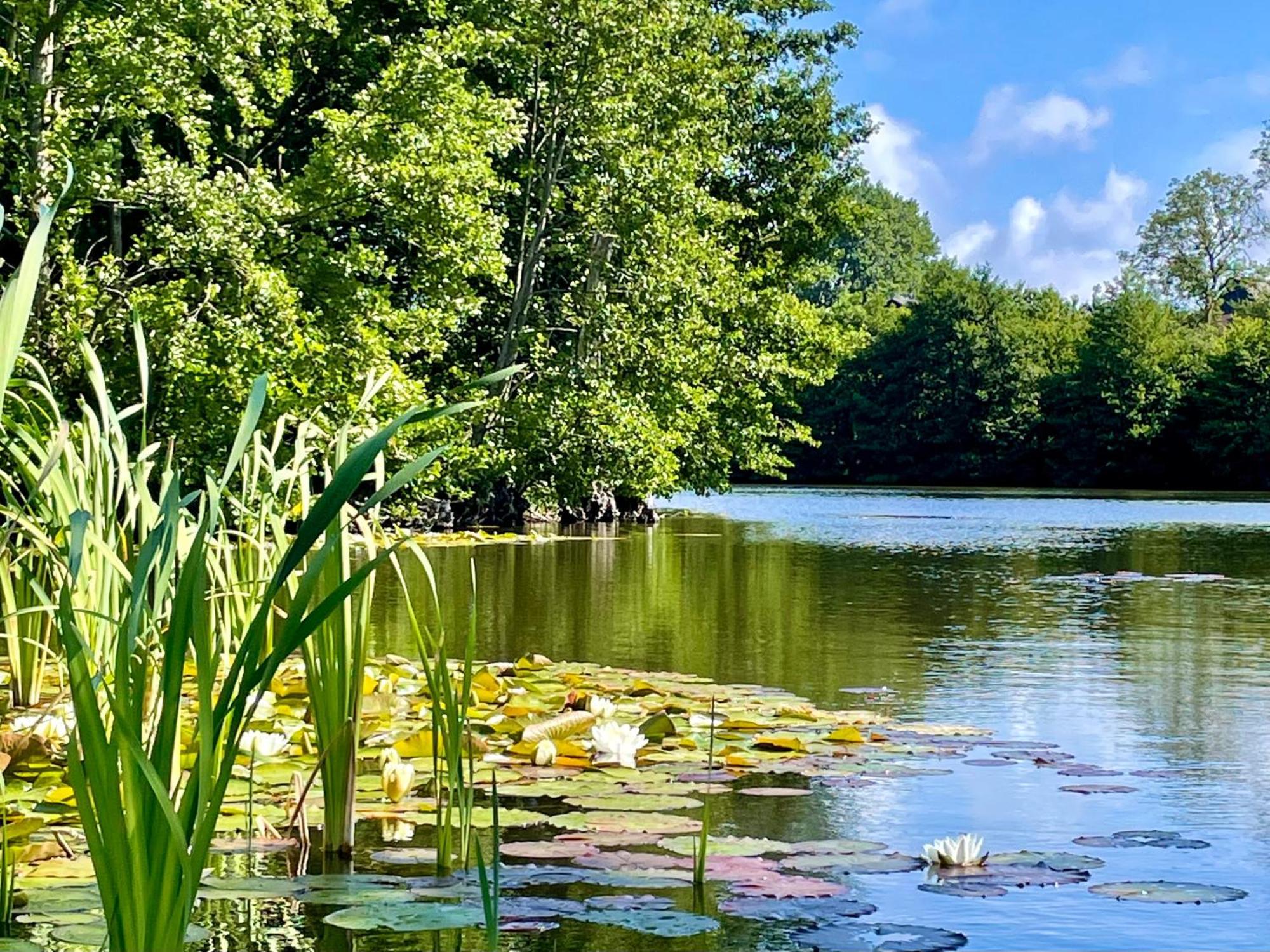 Sjaelegard Countryside Lodge Аллинге Экстерьер фото